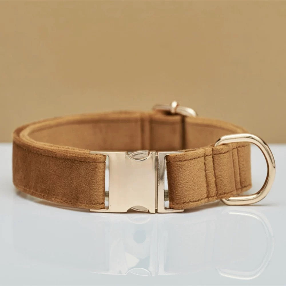 Personalized Dog Collar & Leash Set – Engraved Nameplate, Adjustable Fit, Durable & Comfortable for Small & Medium Dogs