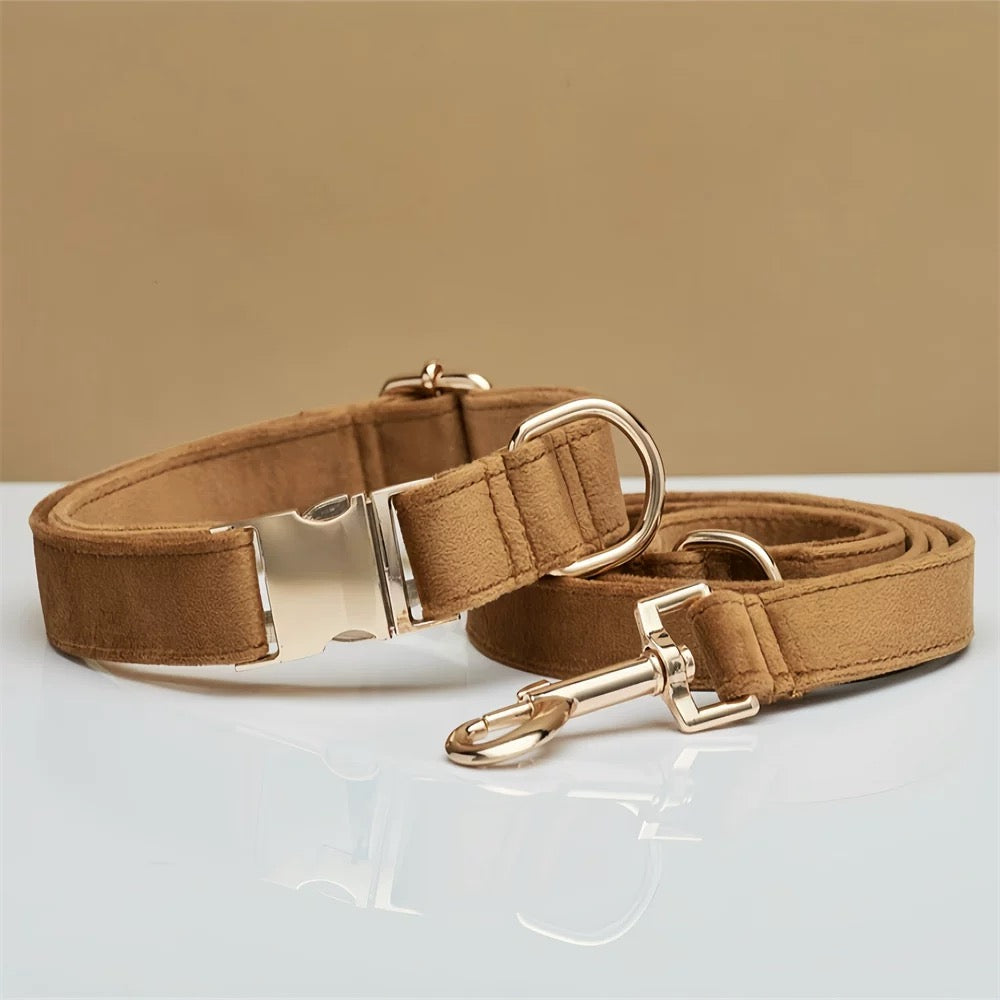 Personalized Dog Collar & Leash Set – Engraved Nameplate, Adjustable Fit, Durable & Comfortable for Small & Medium Dogs