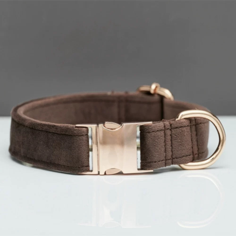 Personalized Dog Collar & Leash Set – Engraved Nameplate, Adjustable Fit, Durable & Comfortable for Small & Medium Dogs