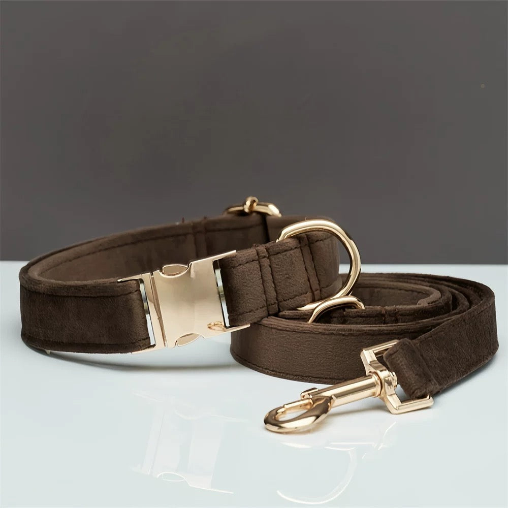 Personalized Dog Collar & Leash Set – Engraved Nameplate, Adjustable Fit, Durable & Comfortable for Small & Medium Dogs