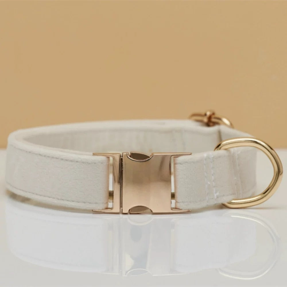 Personalized Dog Collar & Leash Set – Engraved Nameplate, Adjustable Fit, Durable & Comfortable for Small & Medium Dogs