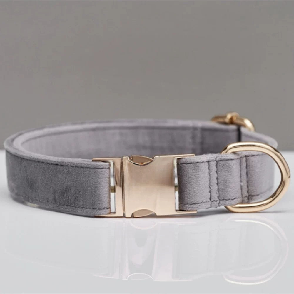 Personalized Dog Collar & Leash Set – Engraved Nameplate, Adjustable Fit, Durable & Comfortable for Small & Medium Dogs
