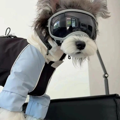 Dog Winter Windbreaker – Warm Outdoor Coat for Small Dogs