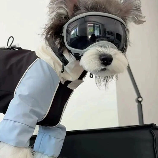 Dog Winter Windbreaker – Warm Outdoor Coat for Small Dogs