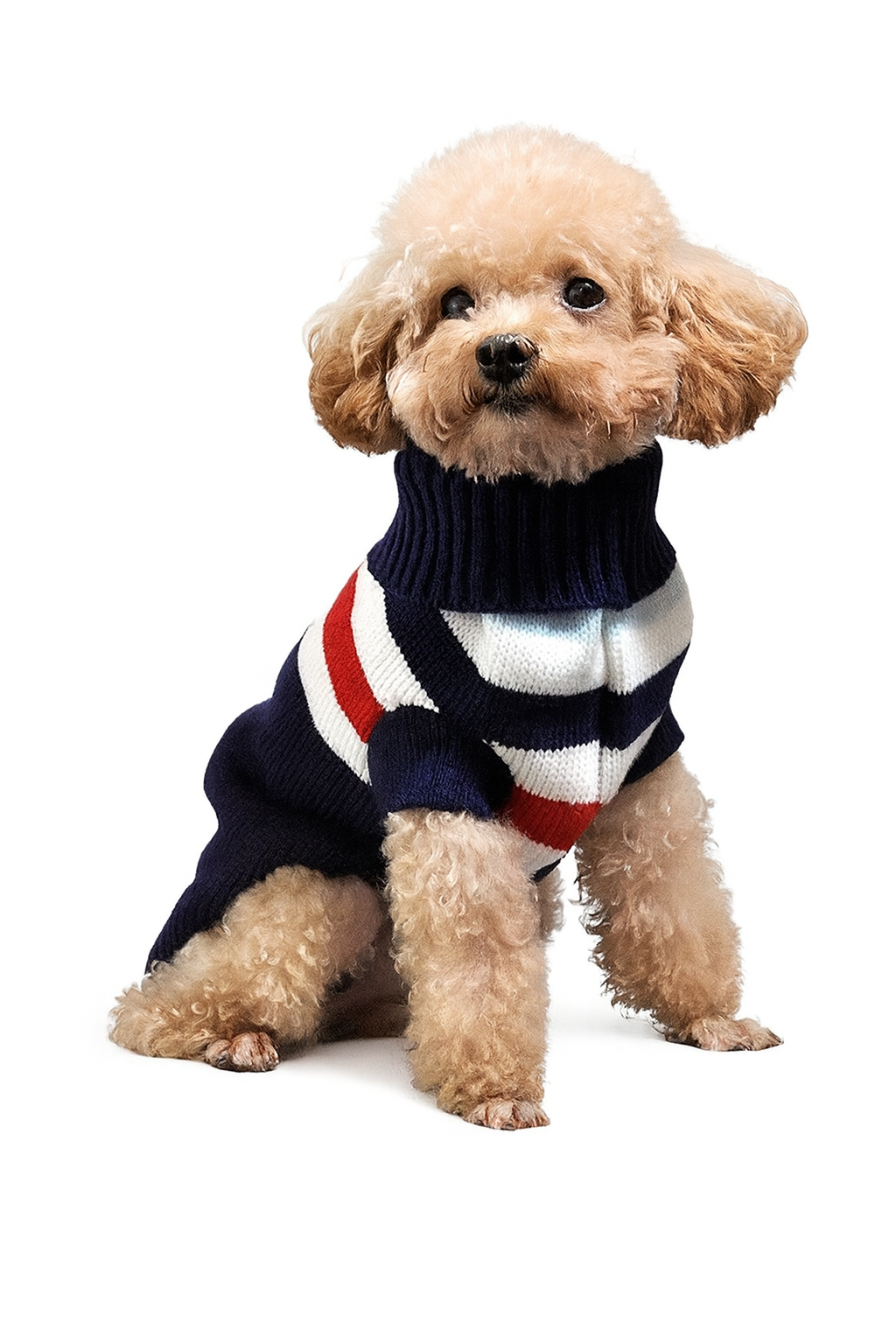 Dog Sweater – Navy Striped Knit Turtleneck