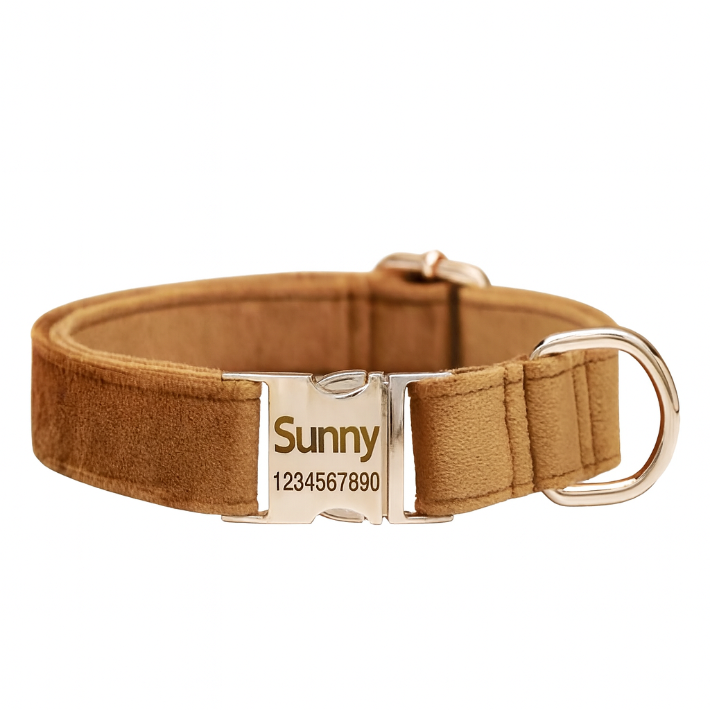 Personalized Dog Collar & Leash Set – Engraved Nameplate, Adjustable Fit, Durable & Comfortable for Small & Medium Dogs